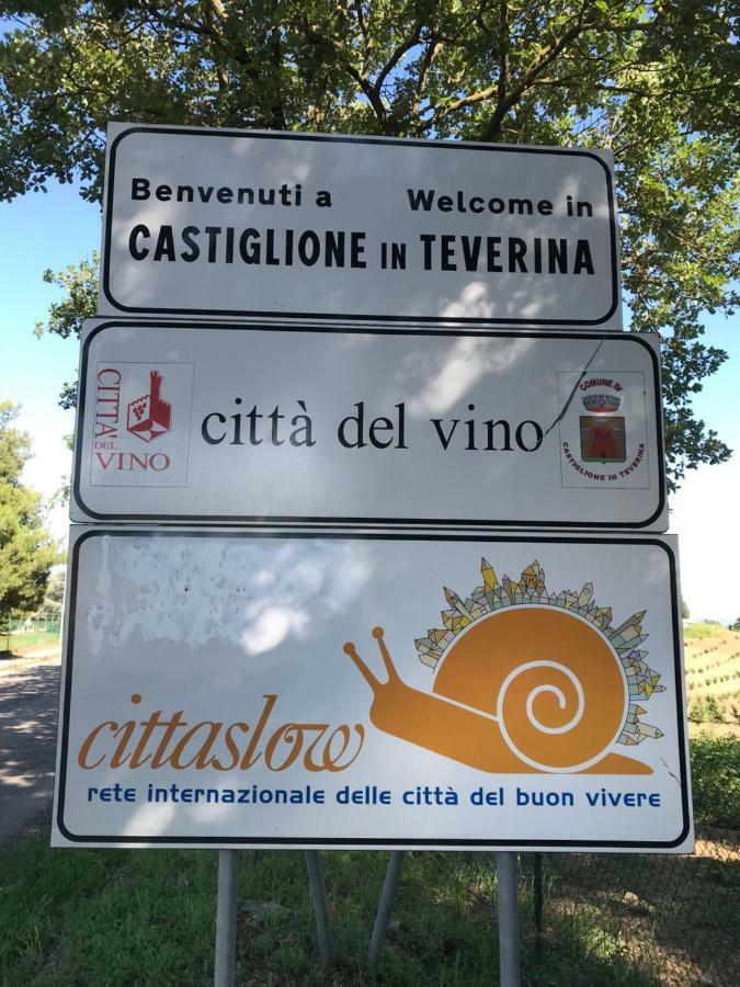 شقة Casa Greta Castiglione In Teverina المظهر الخارجي الصورة